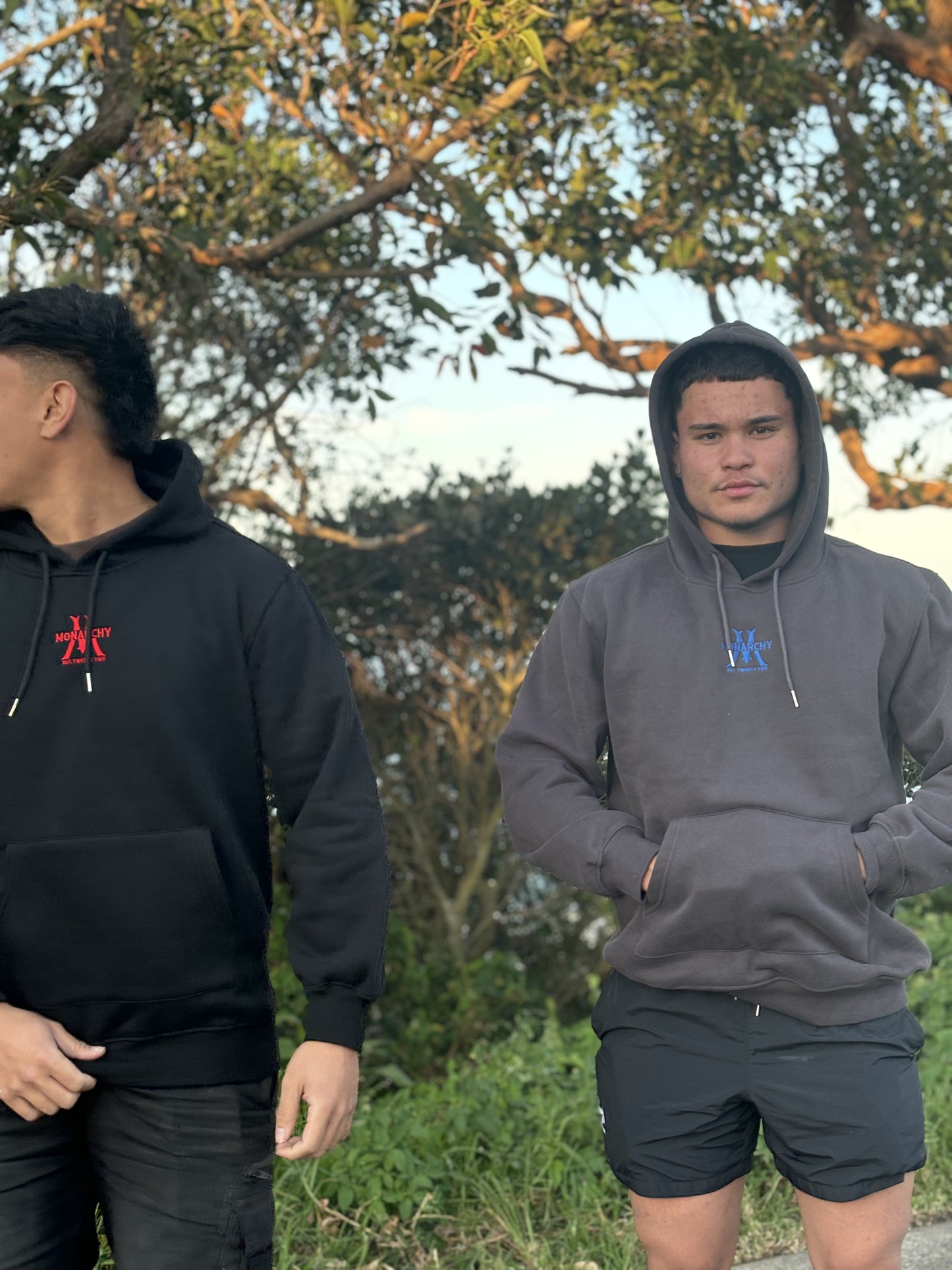 Grey N Blue Hoodie